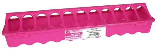 Hot chick pink - feeding, trough