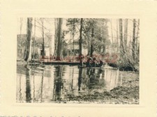 Photo, estate Pilot der