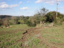 Photo 6x4 Grazing land