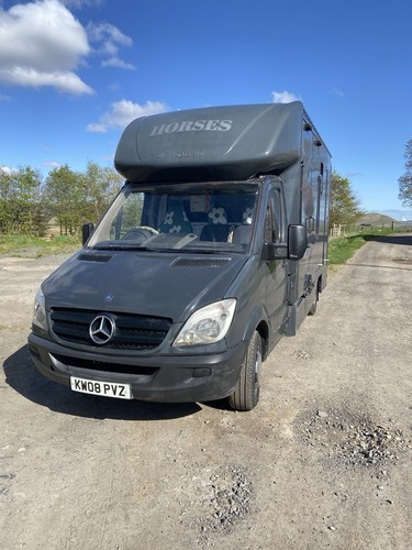 Mercedes horsebox 2008 - 3.5t, 2008|