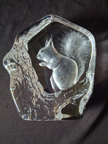 Mats jonasson squirrel - mats,
