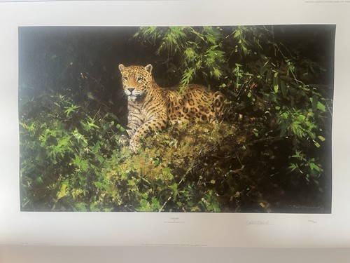 David shepherd signed limited - david,