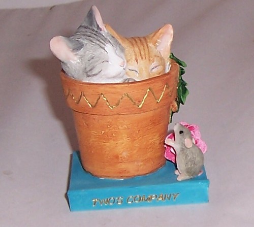 Country artists kitten tales - kitten,