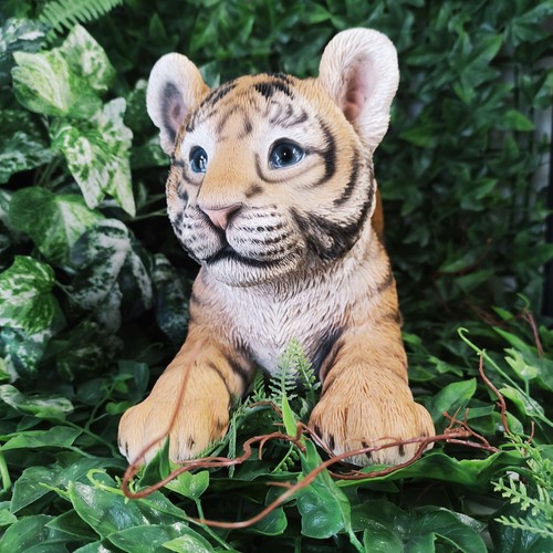 Vivid arts playful tiger cub - playful,