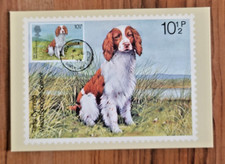 Great Britain - British Dog -