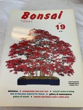 Bonsai Today No 19 1992-3