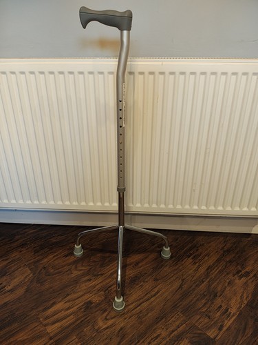 Walking sticks stainless steel - sticks,