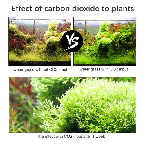 Aquarium diy co2 - diy, generator