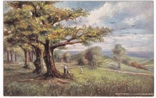 Parliament Hill Hampstead