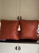 Pair of Large Feather Filled