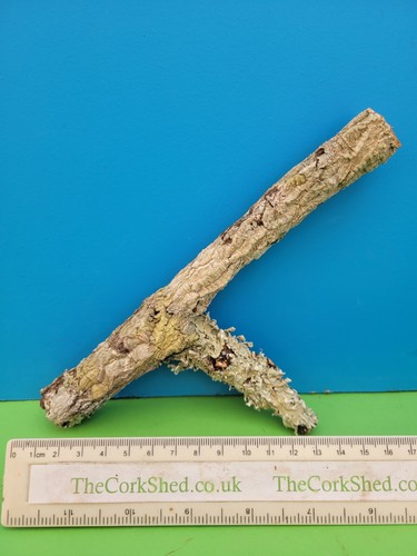 Cork bark branch 16cm snake - bark,