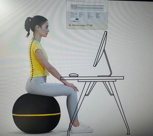 Technogym wellness ball active - wellness,