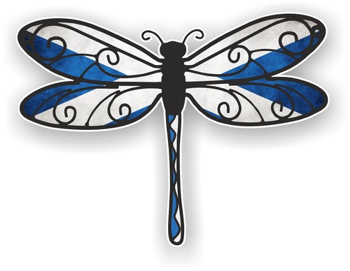 Beautiful dragonfly scottish - beautiful,