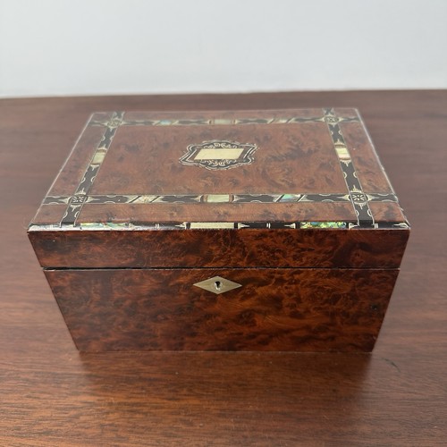 Antique thuya wood - veneer, tea