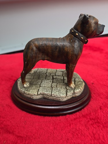 Best breed staffordshire - best,
