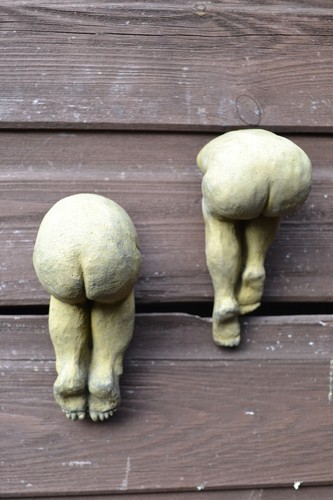 Pair cheeky bottoms bums - bums, wall