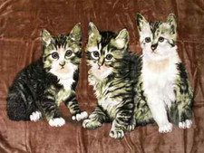 Bedspread cosy blanket throw