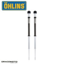 Cartridge Kit TRIUMPH