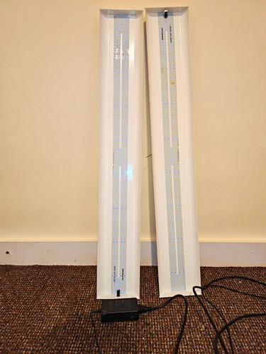 Spider farmer led grow - led,