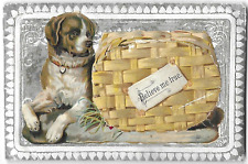 Stunning Victorian Greeting Card St Bernard Dog Puppies Hidden Under Tab Padded