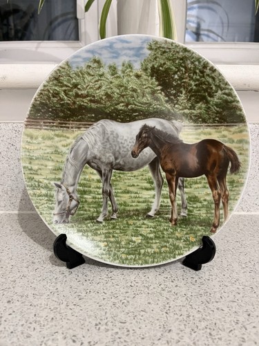 Vintage poole pottery plates - pottery,