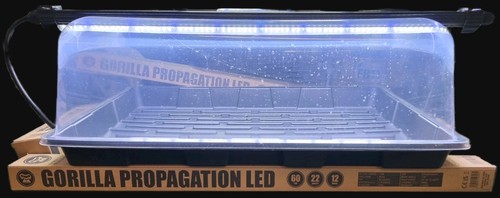 Gorilla propagation kit - kit, –