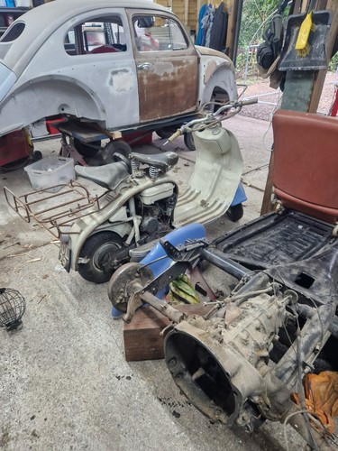 Oval beetle 1956 easy - vw,