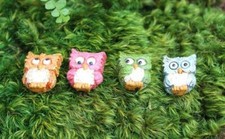 Miniature Fairy Garden S/4