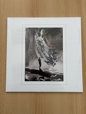 SACCADES - LAND OF THE HEARTH