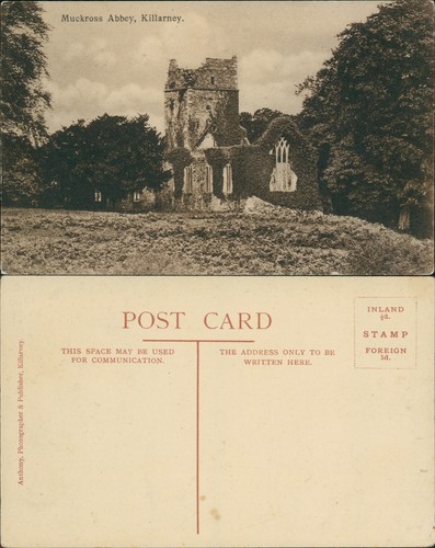 Killarney muckross abbey - killarney,