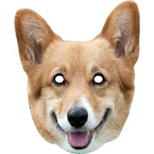 Corgi Dog Animal Celebrity