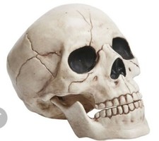 White Skull Large Halloween