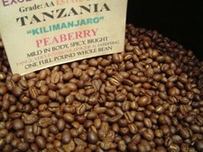 TANZANIAN KILIMANJARO COFFEE BEANS PEABERRY MEDIUM ROAST 2 POUNDS IN 1 POUND BAG