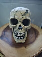  Cracked Skull Large Aquarium Fish Tank Ornament Decoration