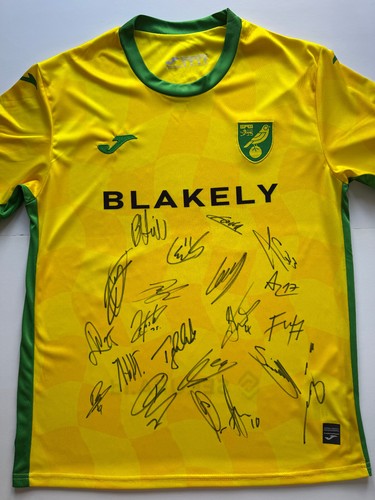 Signed norwich city shirt - signed,