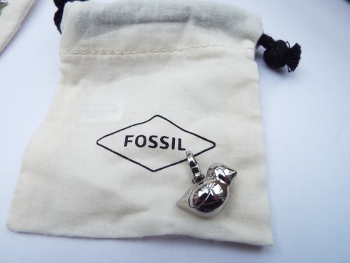 New rare fossil bird - charm, in
