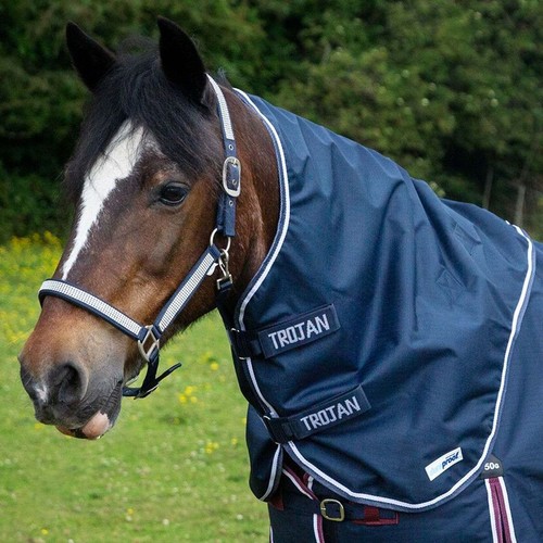 Rug neck cover gallop - rug,