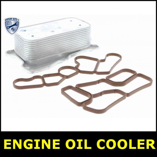 Engine oil cooler - engine,