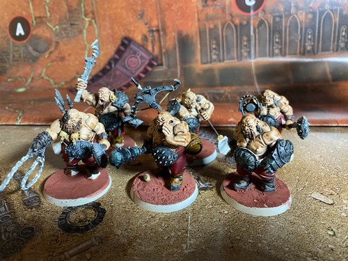 Ogor bulls ogre kingdoms - bulls,