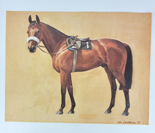 Red rum print neil - red,