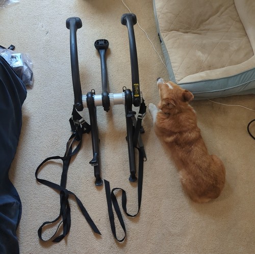 Saris bones bike trunk rack - trunk,
