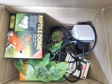 BRAND NEW reptile Items