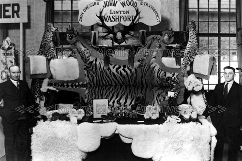 Jjl john wood - wood,, taxidermist