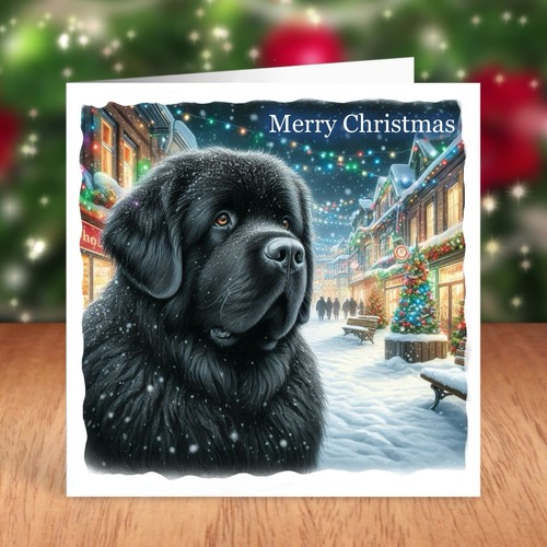 Newfoundland dog christmas - dog,