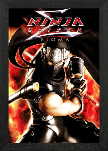Ninja gaiden sigma framed - ninja,