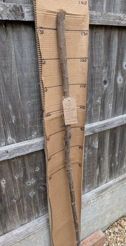 Blackthorn walking stick shank - blackthorn,