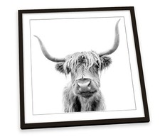 Highland Cow Black & White Grey FRAMED ART PRINT Picture Square Artwork