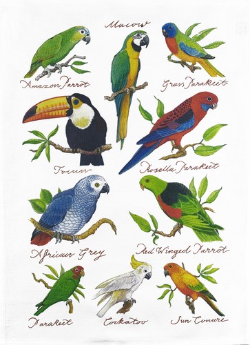 Tropical birds collection tea - tropical,