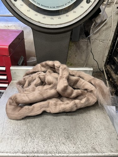 Pastel brown merino wool - brown,