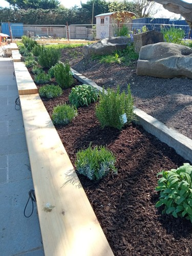 Woodland mulch - woodland,